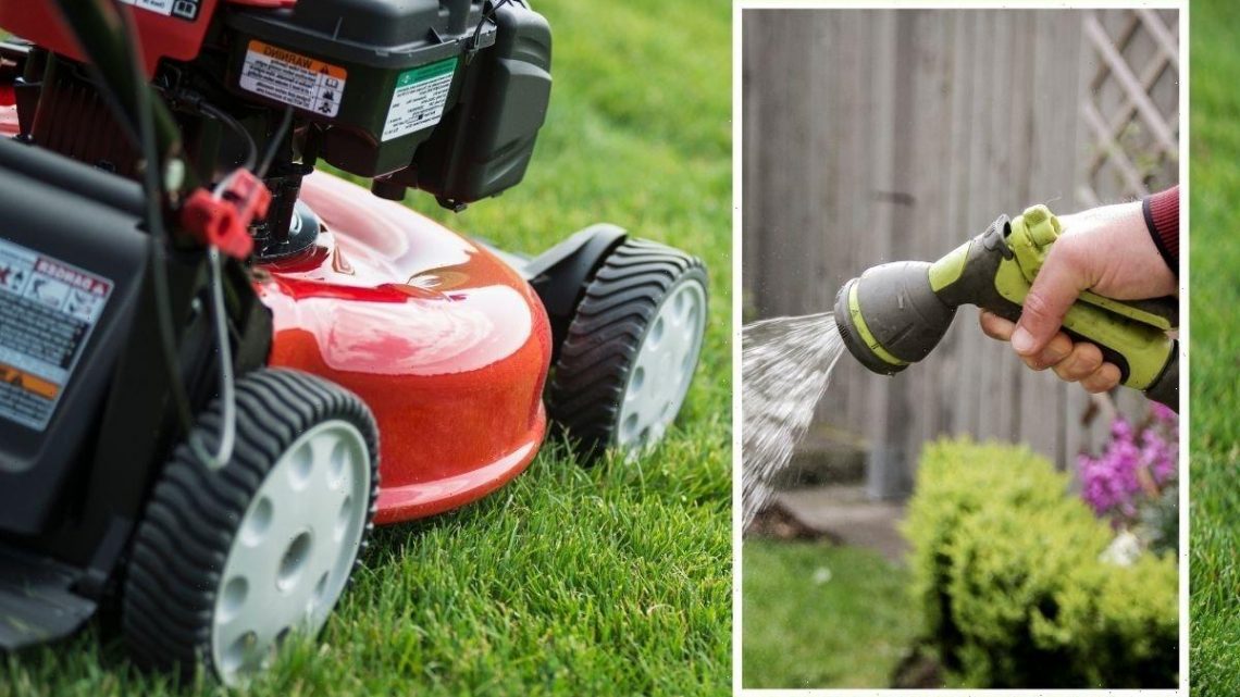 Lawn: ‘Now is the perfect time’ to ‘revive’ damaged grass – how to guide