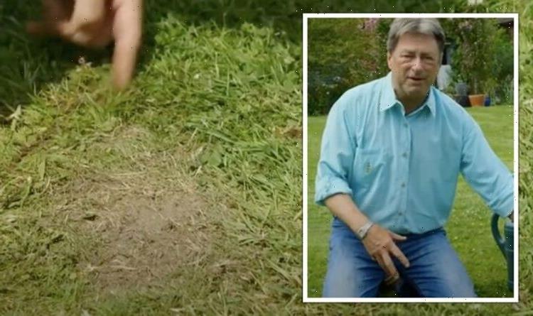 ‘Much easier method’: Alan Titchmarsh on how to repair lawn bare patches without reseeding