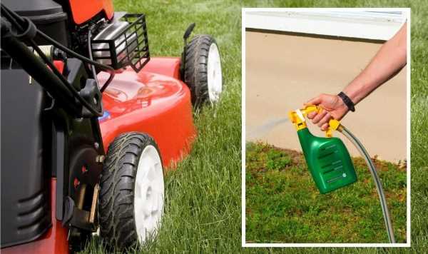 ‘Perfect time’ to begin ‘lawn rescue plan’ – steps to achieve a ‘lush lawn’ by summer
