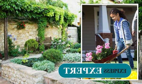 ‘Best use of outdoor space’: How to make your garden look bigger – ‘add structure’