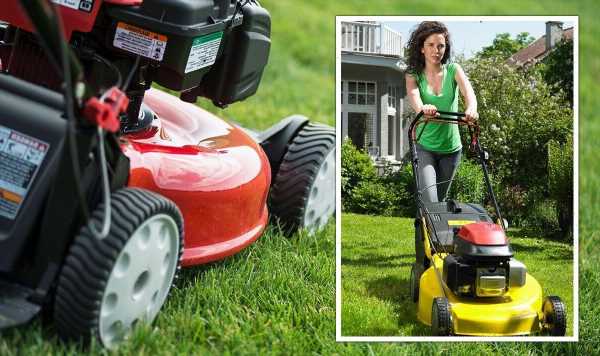 Gardeners can ‘reduce’ lawn weeds with handy mowing tip – ‘seeds could start to grow’