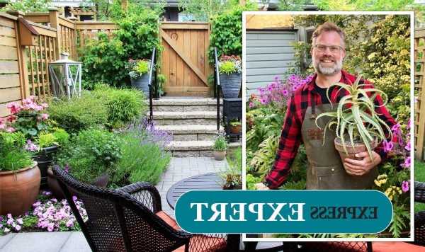 How to make a small garden seem bigger: Pro’s ‘cunning ways’ to make it ‘expand’