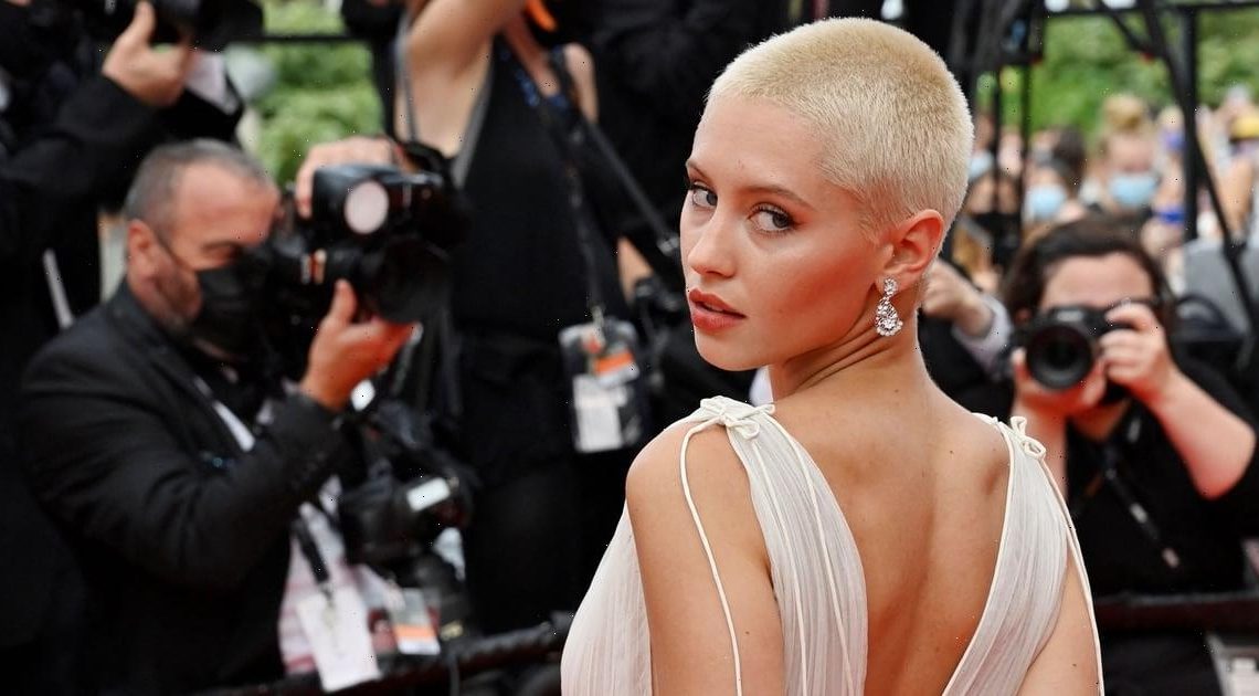 Iris Law's Mullet Comes With Cruella Extensions