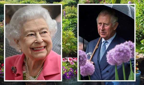 Royal Family’s favourite flowers and poignant meanings explained