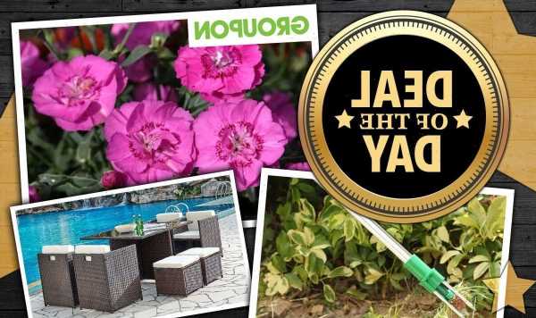 DEAL OF THE DAY: Groupon slashes 80 percent off garden furniture and equipment