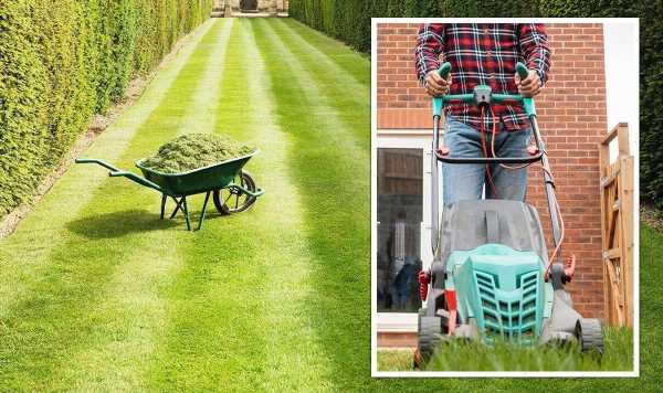 Lawn care tips: ‘Quick and useful’ job to do in June for a ‘beautiful green lawn’