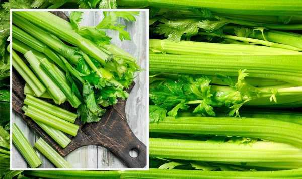 ‘It works!’ Keep celery fresh and crunchy for 4 weeks with clever food storage hack