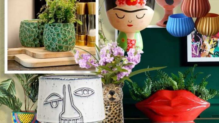 9 quirky plant pots to add personality to any room