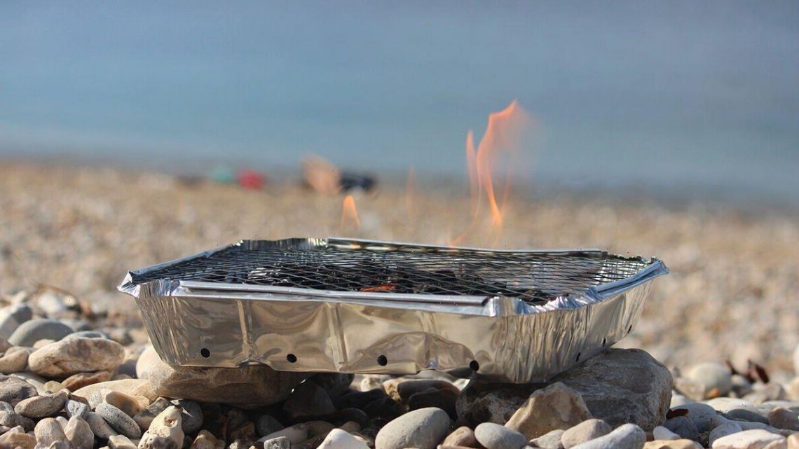 Disposable barbecues ‘should be banned’ after girl’s burns, says top chef