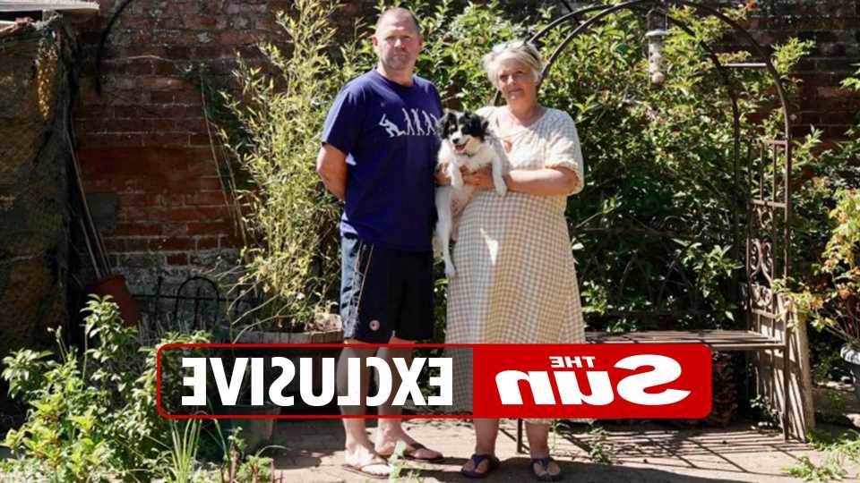 Our nightmare neighbour has dumped two 15ft trailers in his garden blocking our view – it’s monstrous & no one will help | The Sun