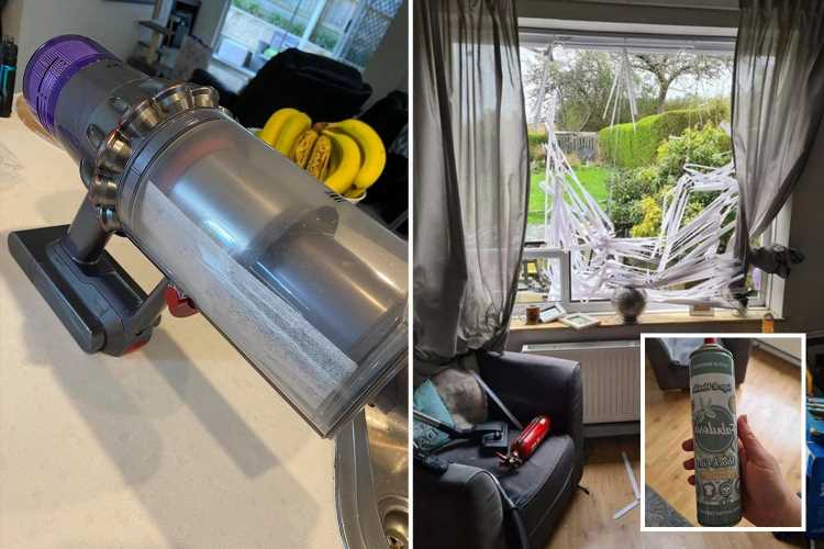 The dangerous cleaning hacks NOT to do – from putting drying sheets in vacuum to spraying your radiators with Fabulosa | The Sun