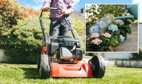 ‘Can kill off your lawn’: Common mistakes gardeners make during hot weather – how to avoid