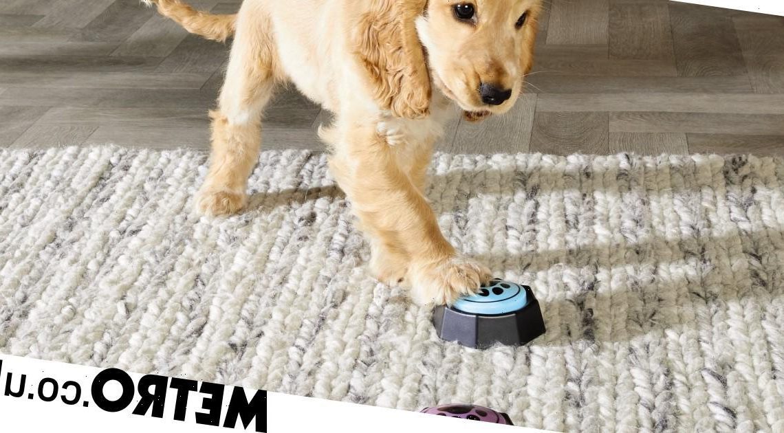 Aldi launches pet training buzzers that let you communicate with your dog or cat