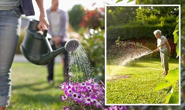 Hosepipe ban 2022 exemptions in full: How to use water without facing £1,000 fine