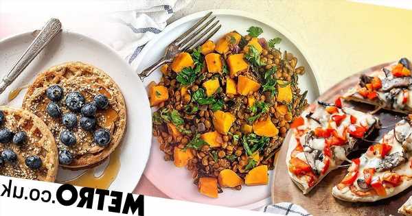 Three easy plant-based meals for people who don't love cooking