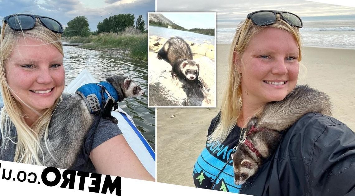 Meet the ferret who has hiked, camped, kayaked and skied through eight US states