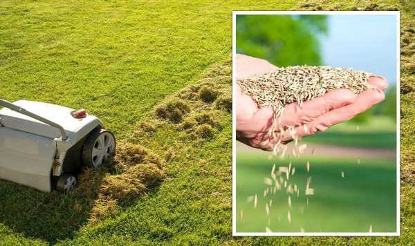 September is ‘perfect time’ to ‘replenish’ lawns – ‘should be key’