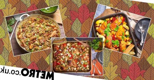 Three affordable, delicious meals to cook this autumn