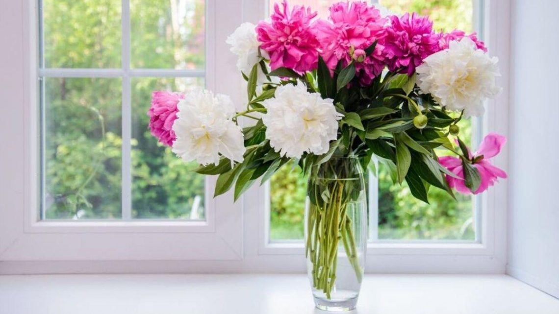 ‘Best home remedy’ to keep fresh flowers alive for longer