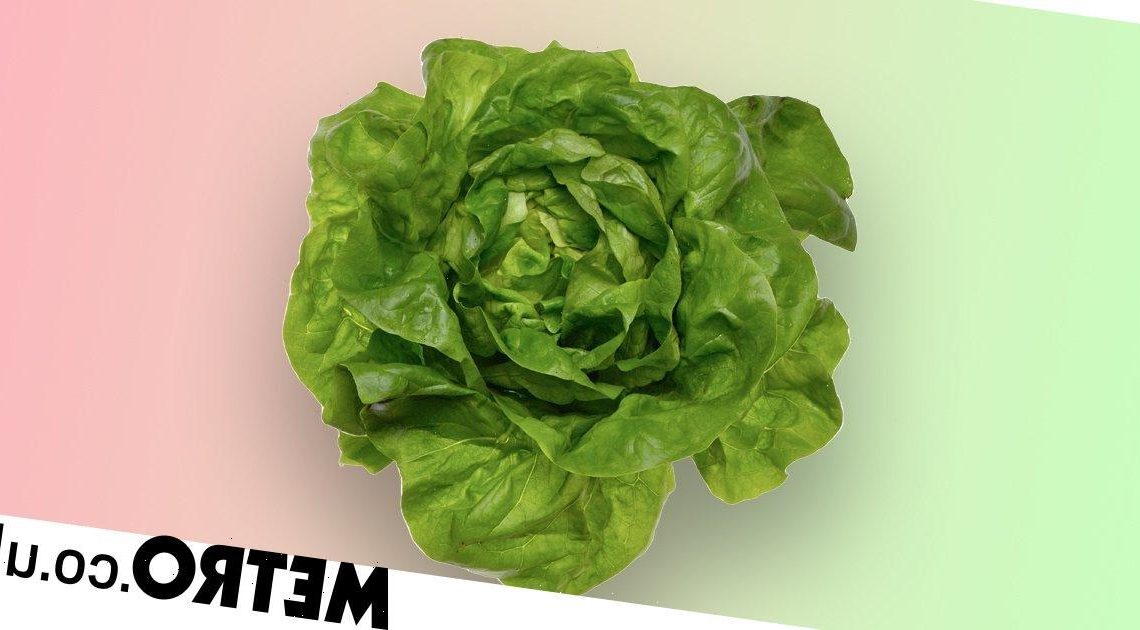 How to use up extra lettuce before it goes bad