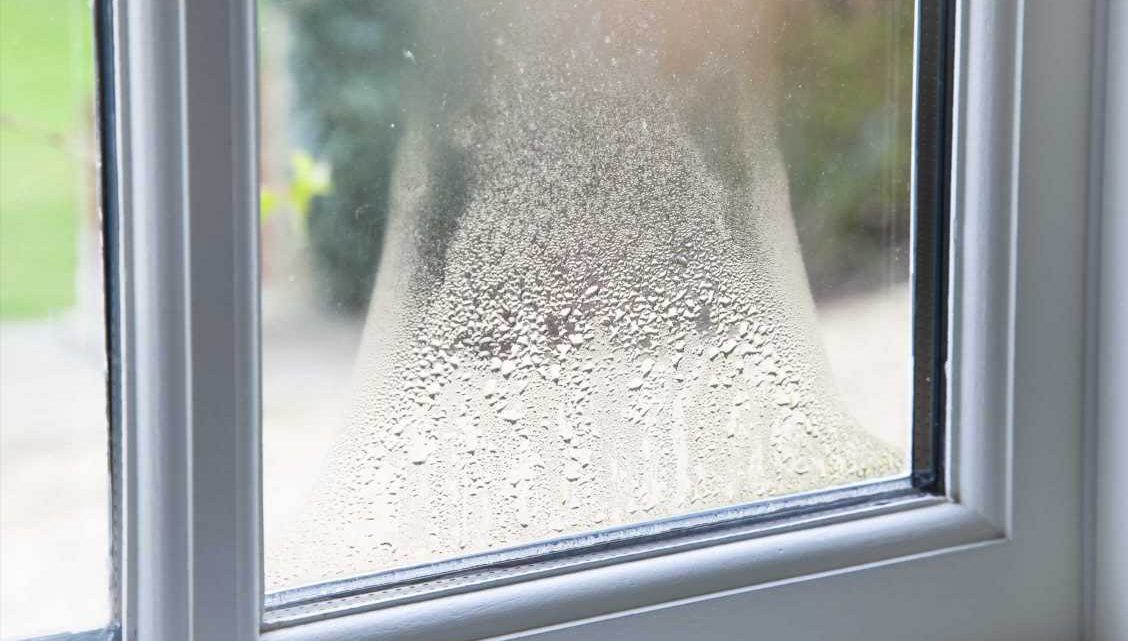 I'm a property guru – four tips to clear windows of condensation, banish mould & rid dampness in your home | The Sun
