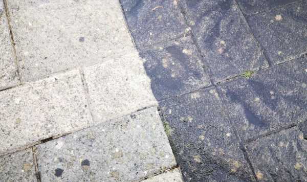 Kill algae and mould from your paving with three ‘effective’ methods