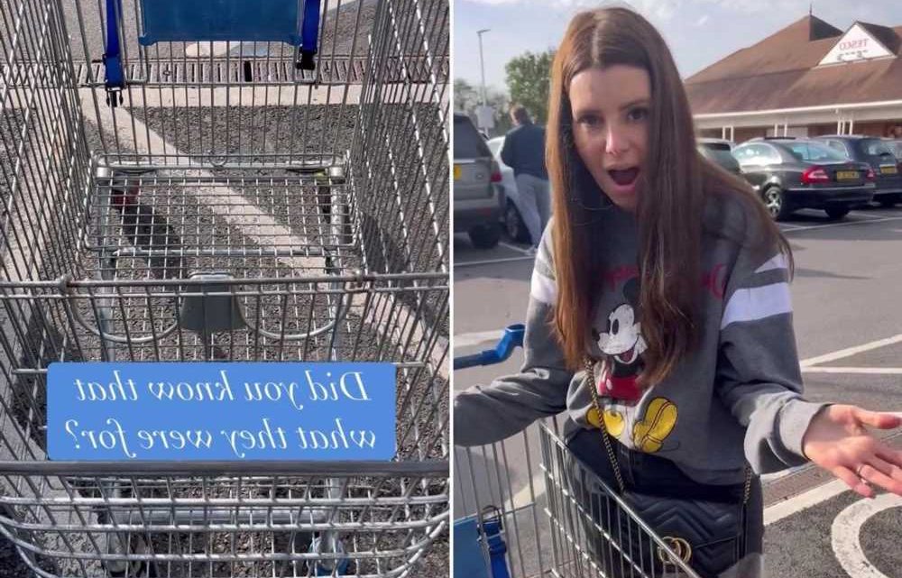 People are only just realising what the hidden extra section is for in shopping trolleys and it’s so handy | The Sun