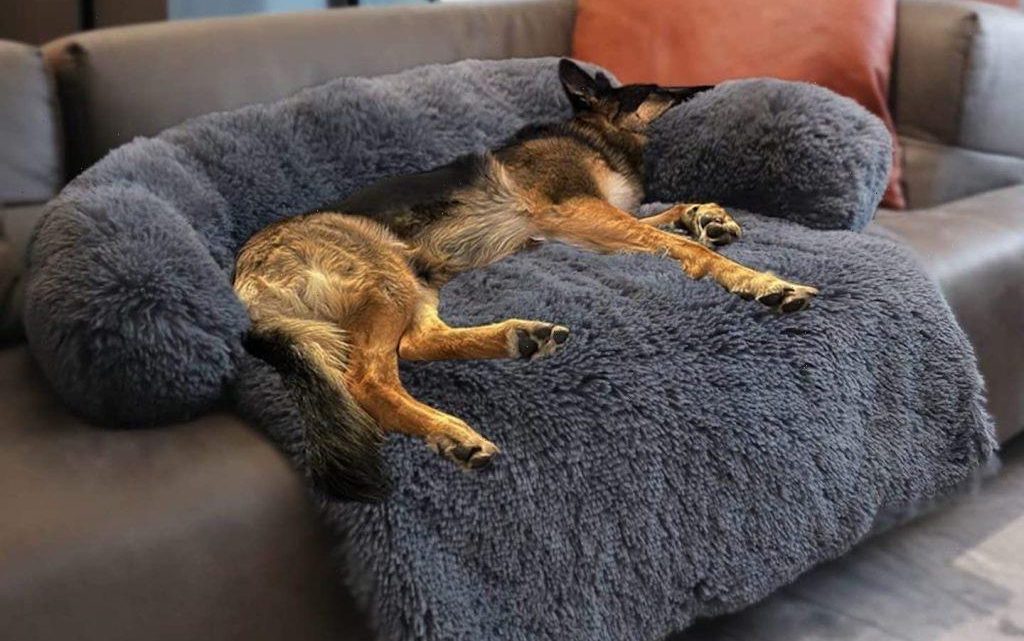 This Dog Bed Actually Calms Your Dog While Protecting Your Sofa at the Same Time & It’s 20% Off