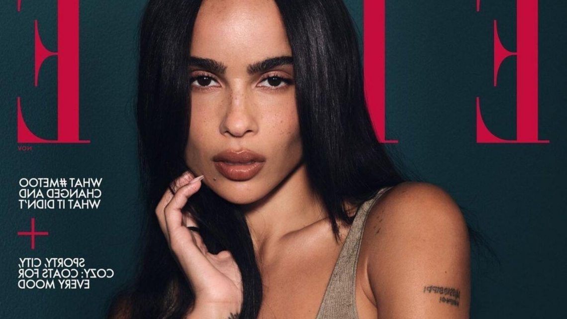 Zoe Kravitz Worried About Social Media Backfire Due to Her ‘Very Impulsive’ Nature