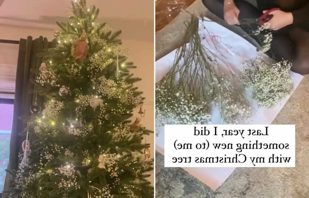 I'm a design expert – here's my cheap and easy hack for a gorgeous snowy look on your Christmas tree this year | The Sun