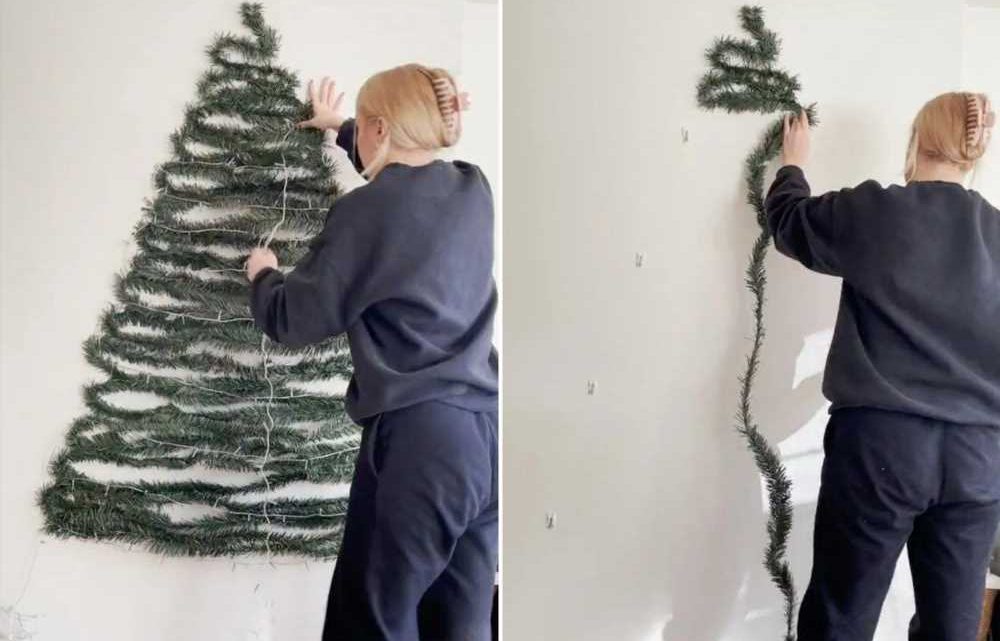 Mum shows genius Christmas decorating hack for those without space for a tree – it's perfect if you have pets | The Sun
