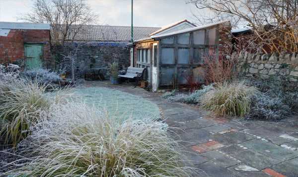 ‘Can be fatal’ How to ‘protect’ plants from first frost now