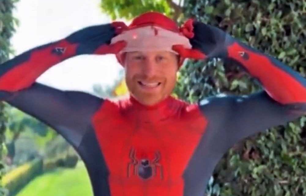 Prince Harry dresses up as Spider Man as he sends Christmas video message to children who have lost their parents | The Sun