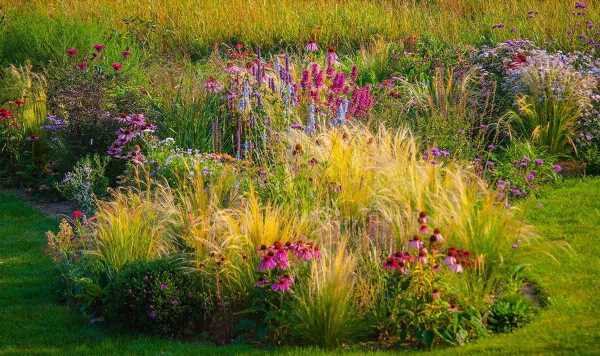 Best ornamental grasses to add colour and texture to your garden