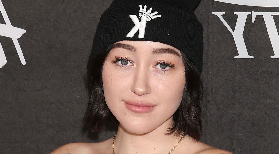 Noah Cyrus looks almost unrecognisable as she shows off edgy new look with bleached brows