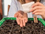 Six key changes that ‘need’ to be made in your garden before spring