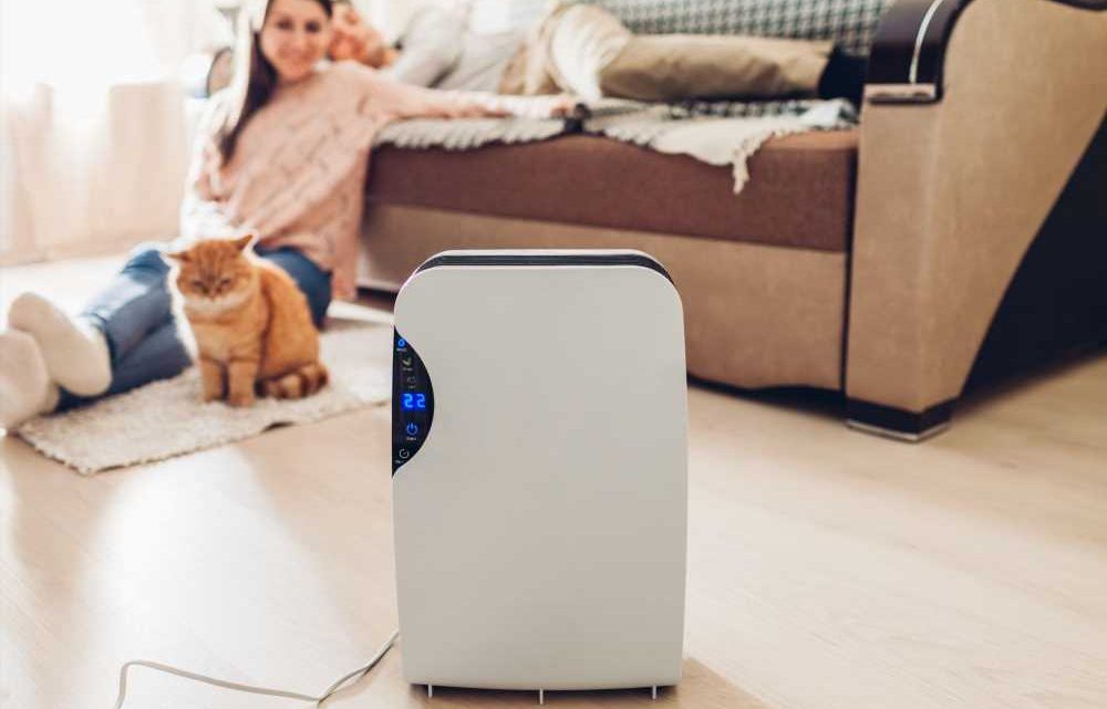 We’re dehumidifier experts – the mistakes people always make with theirs and how to ensure yours is the most effective | The Sun