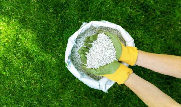 ‘Biggest lawn mistake’ that causes ‘unhealthy’ lawns – has the abil…