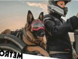 German Sheperd who loves motorbike rides is travelling the world with her owner