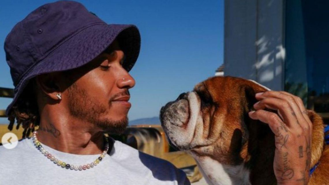 Lewis Hamilton blasted by followers over dog’s controversial outfit