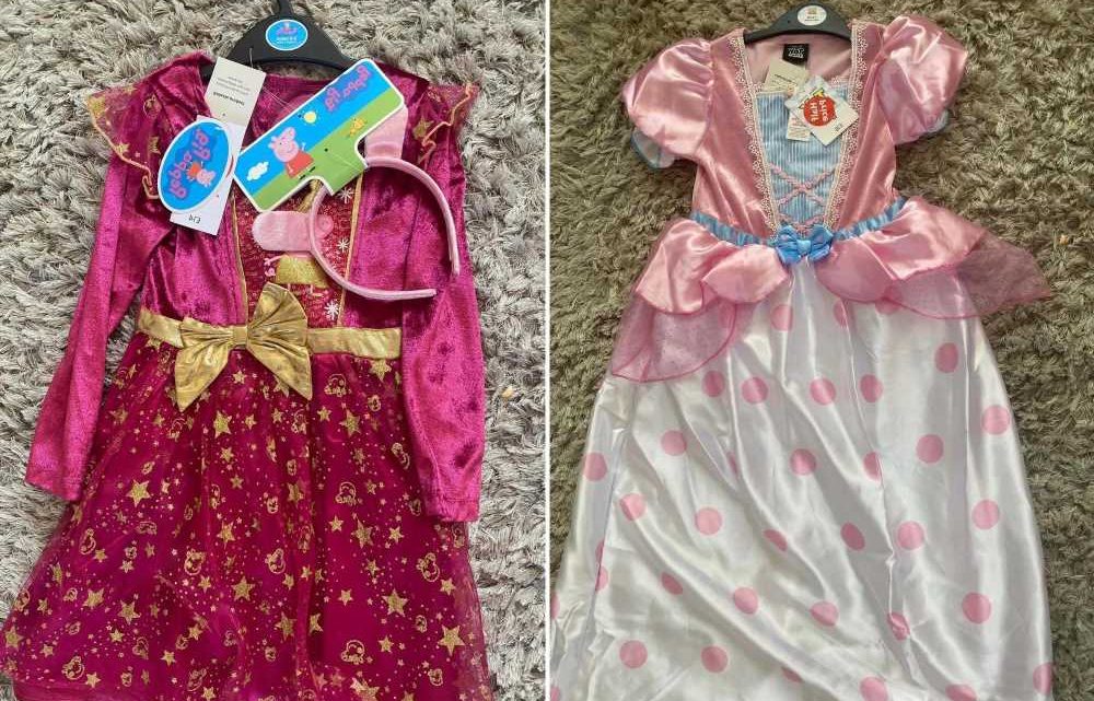 Shoppers scramble to get their hands on MEGA cheap children's fancy dress costumes from Sainsbury's for World Book Day | The Sun