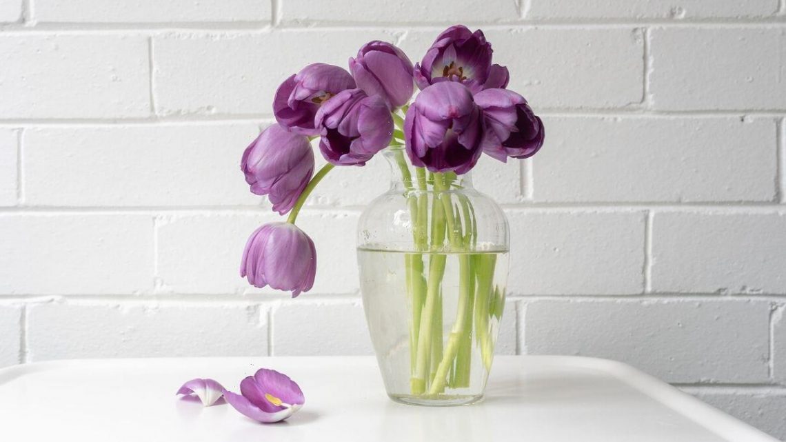 Stop tulips drooping by using a pin or a penny