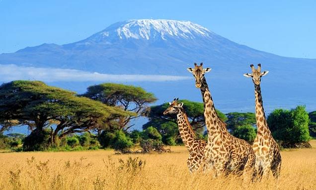 Amazing holidays for the over-50s, from safaris to cycling tours