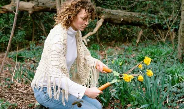 Five gardening jobs to do in March – including essential daffodil task