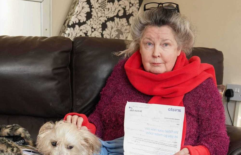 I'm 64 and can't work due to illness – I was distraught when British Gas installed a prepayment meter without consent | The Sun