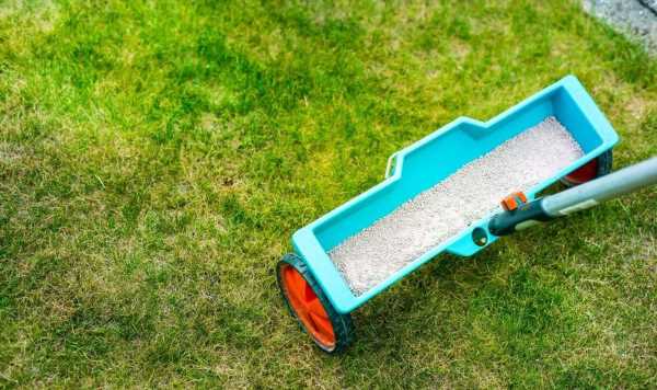‘Recommended’ lawn care to start now for ‘green and luscious’ grass