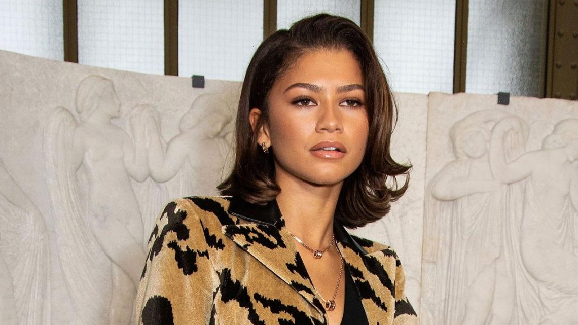 Zendaya Shows Her Wild Side in Animal Print Shorts at Louis Vuitton Show: Pics