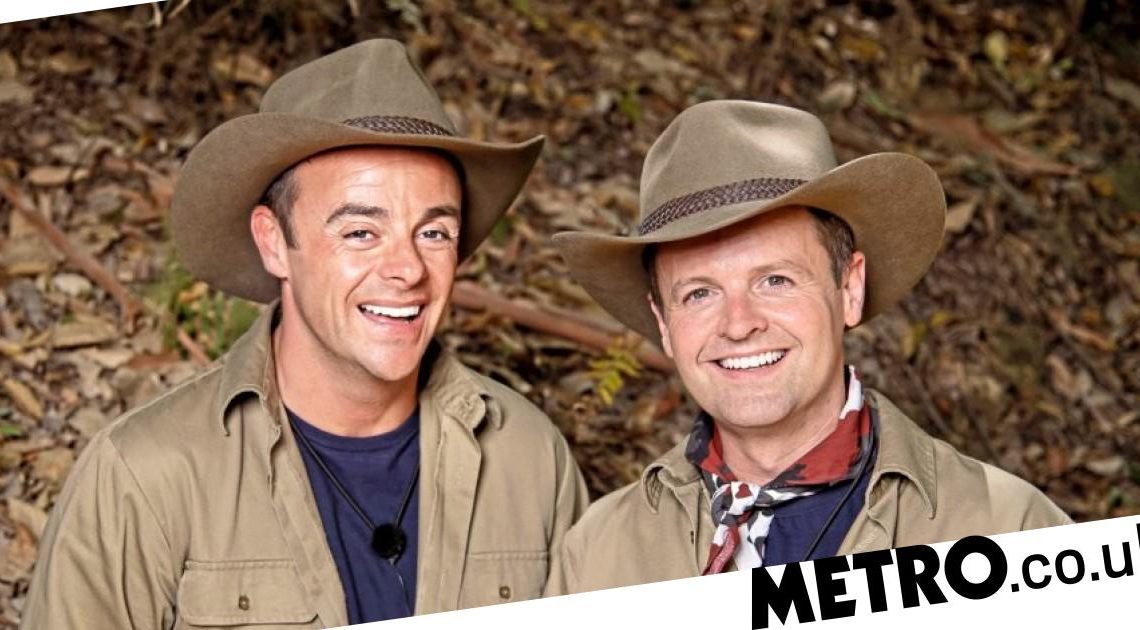 Ant and Dec label I'm A Celebrity All Stars more 'brutal' than ever before