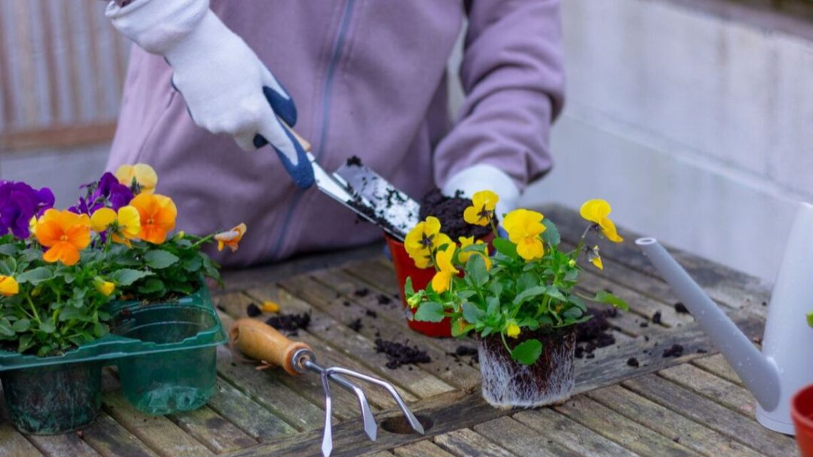 ‘Biggest mistakes’ people make in their gardens in spring