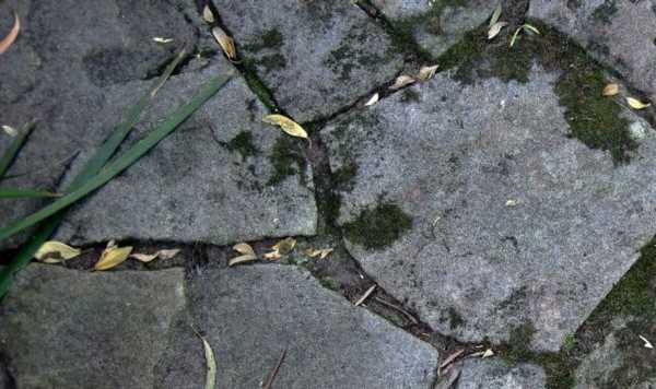 Cleaning expert shares five methods to clean patio slabs